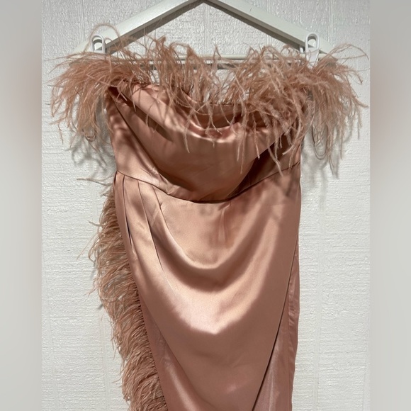 NWT Blithe strapless feather formal gown blush pink size M - Picture 4 of 12